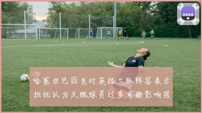 哈塞尔巴因克对英格兰队阵容表示担忧认为天赋球员过多可能影响团队合作